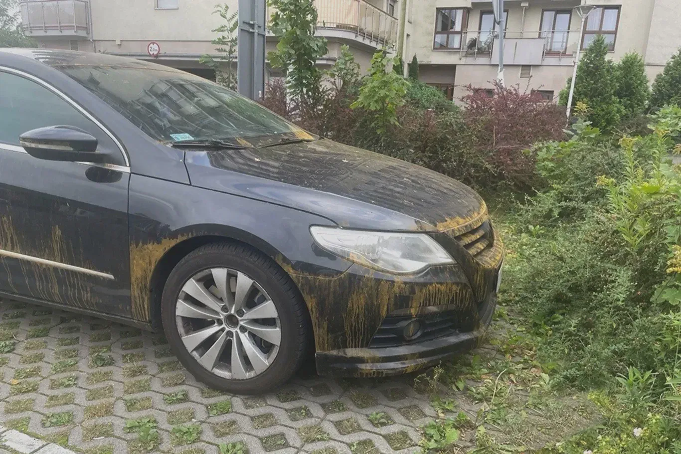 Goliat 3, zdjęcie 2 z 8